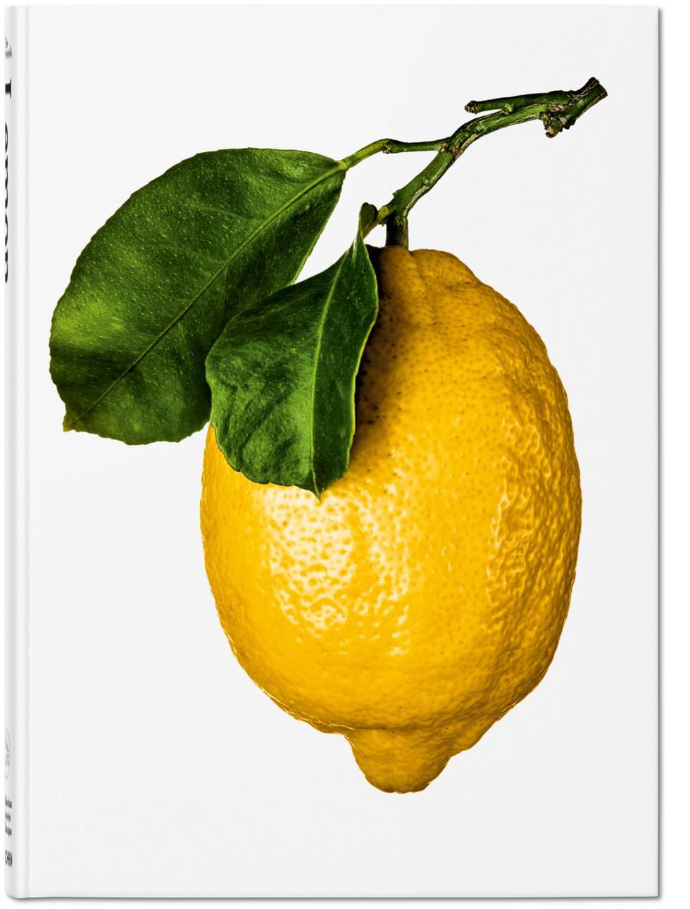GOURMAND_LEMON_cover.jpg GOURMAND_LEMON_cover.jpg